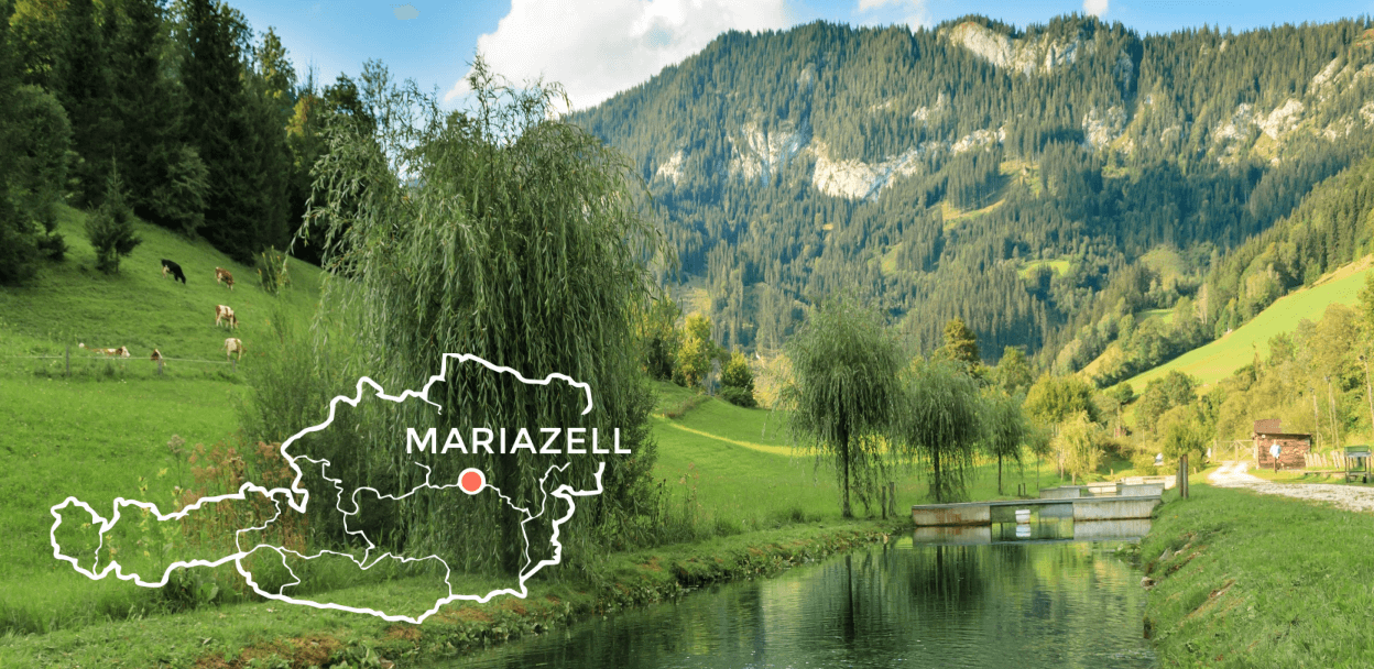 Declevas Biofisch aus Mariazell